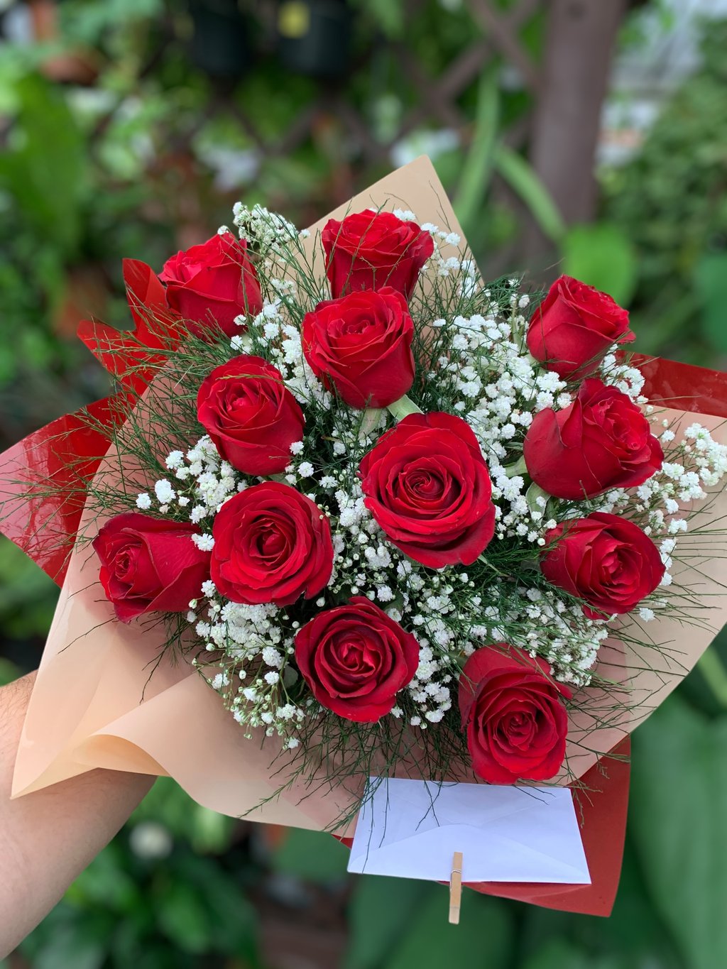 Rosas Vermelhas Clássicas