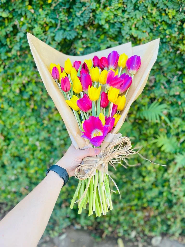 Tulipas Coloridas